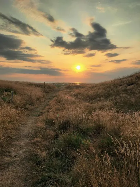Wadden Sea National Park. 150 meters to the beach. - Image 1