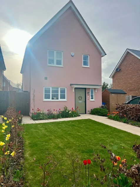 The Pink House - Image 1