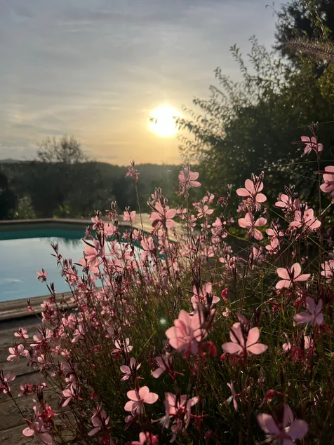 Relaxation and charm in the Chianti hills - Image 1