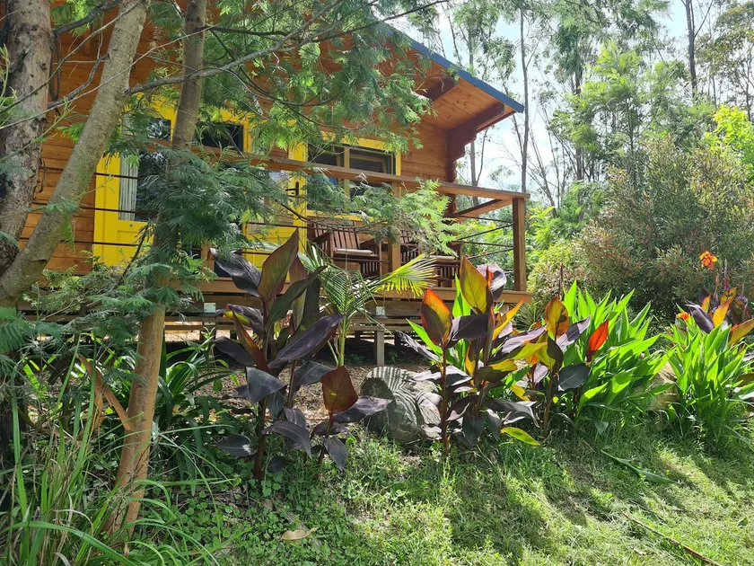The Rainforest Cabin, cosy and nestled in nature. - Image 1