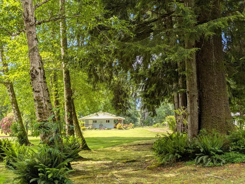 Private River Retreat Cabin near Ocean Beaches - Image 1