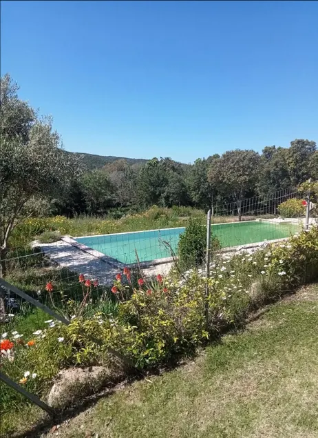Pool • 4 Ensuite Bedrooms • 10 Secluded Acres BBQ - Image 1