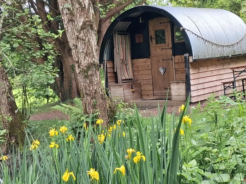 The Ark-glamping next to our fishing lake. - Image 1