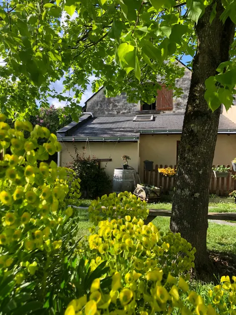 Traditional tuffeau house - Image 1