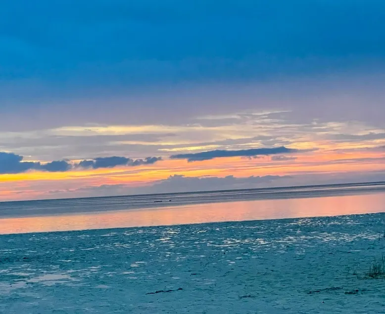 Pine Island Paradise in Weeki Wachee - Image 1