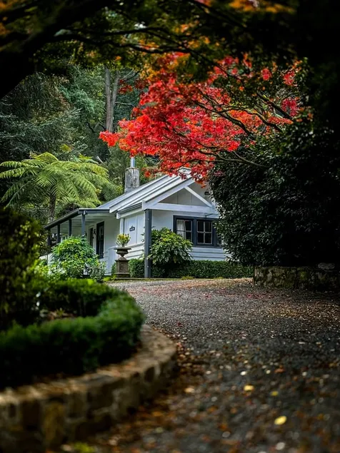 Dingleigh of Sassafras - Reader's Cottage - Image 1