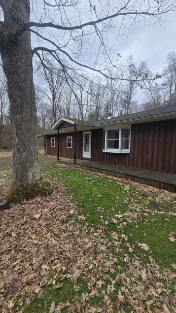 Black Bear Bungalow - Image 1