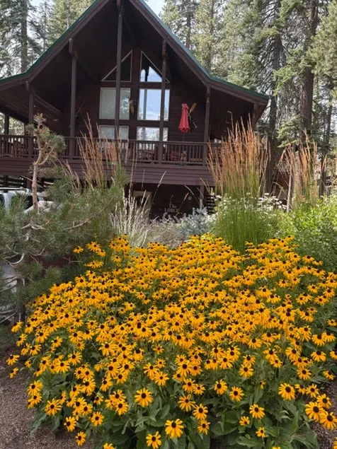 The Lodge at Serene Lakes - Image 1