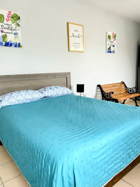 Independent apartment ”B”. Close to the UANL - Image 1