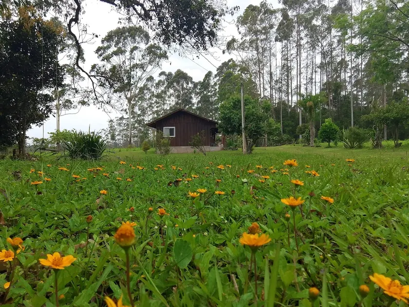 CaBaNadaga - Image 1