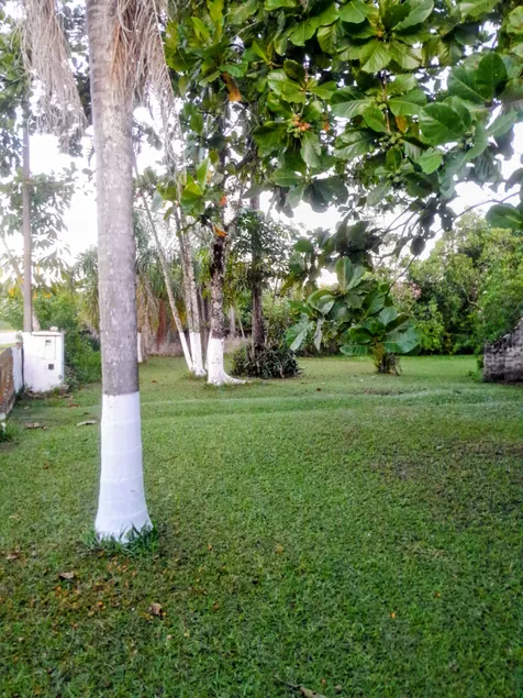 Vacation home in Guaratuba - Image 1