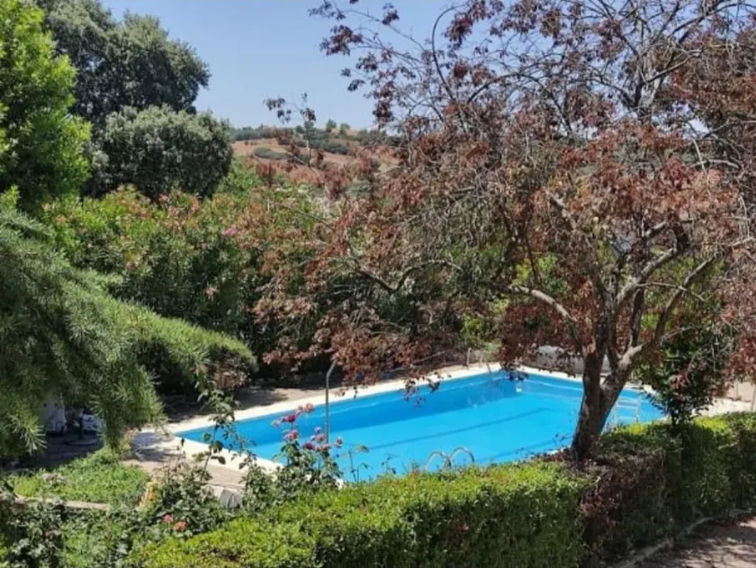Campo cerca de Madrid – Kids & pets welcome - Image 1