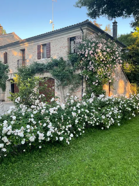 House for 4 in a beautiful garden with swimming pool - Image 1