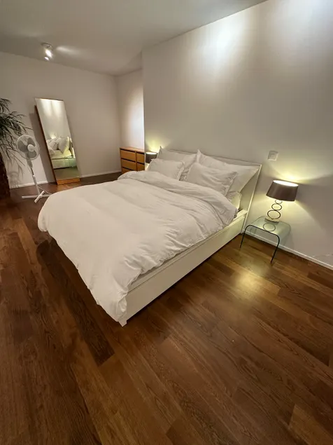 Entire Luxury Apartment in Vitznau - Image 1