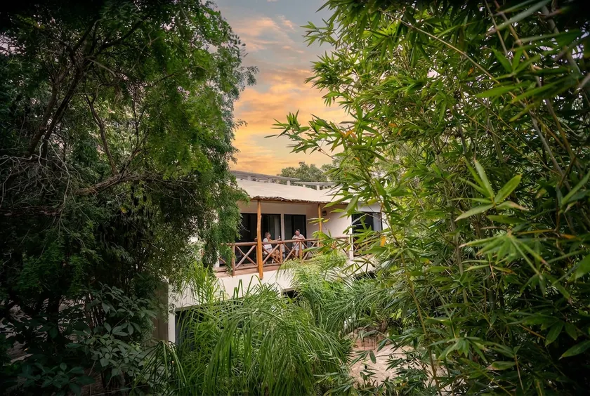 Cozy 1BR/1BA apt. in a jungle paradise setting. - Image 1