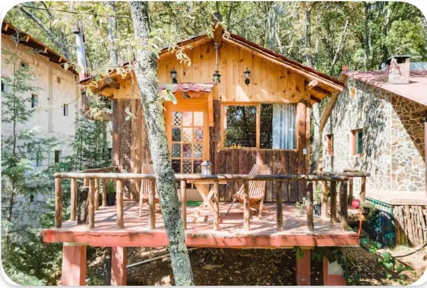 Tree inside your cabin · Terrace and Huasca forest - Image 1