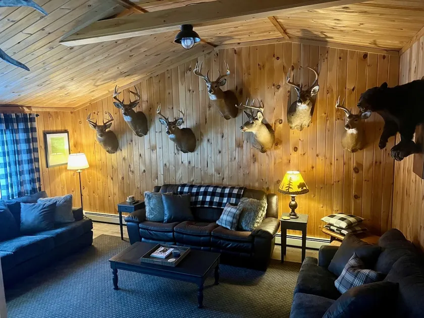The Nock Nest: Conveniently Located, Cabin Feel - Image 1