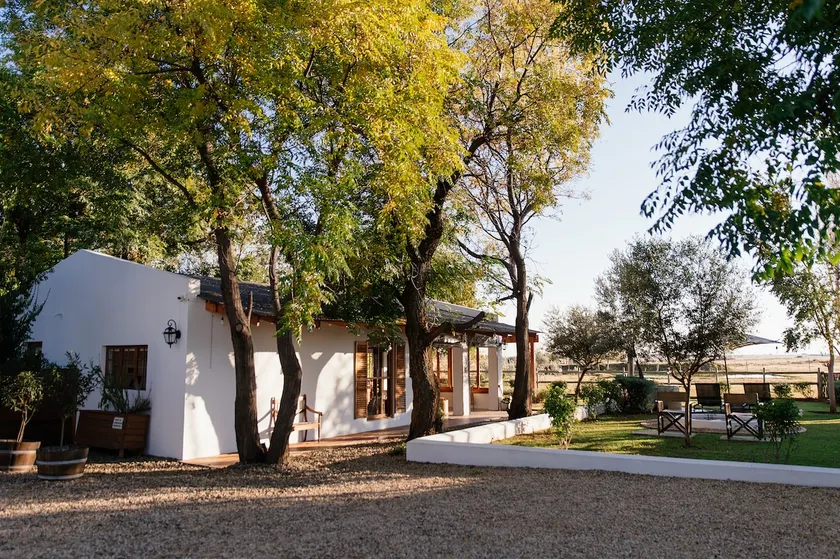 OLYF guesthouse: cottage - Image 1