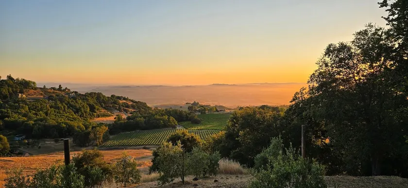 Sonoma Mountain Incredible Views Artist's Retreat - Image 1