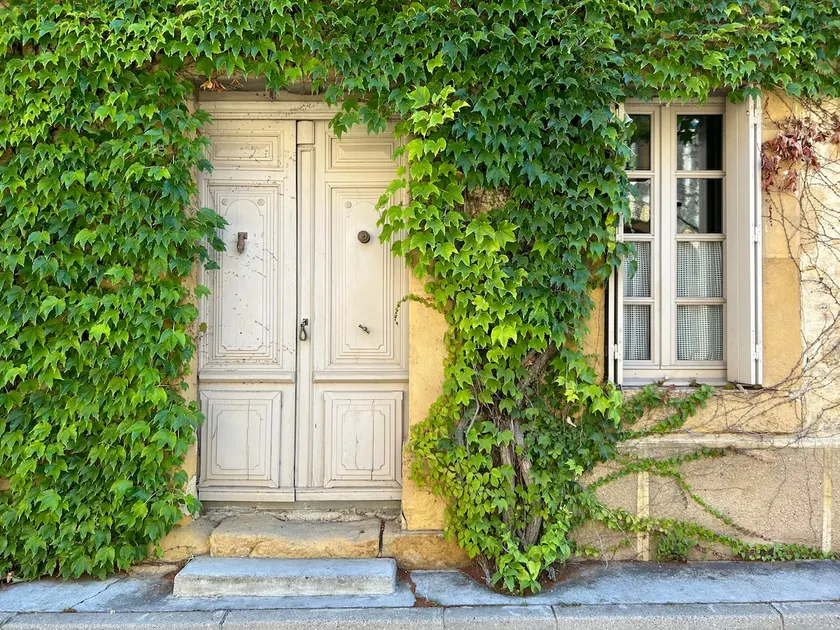 Chez Elise - charming cottage - Fontfroide - Image 1
