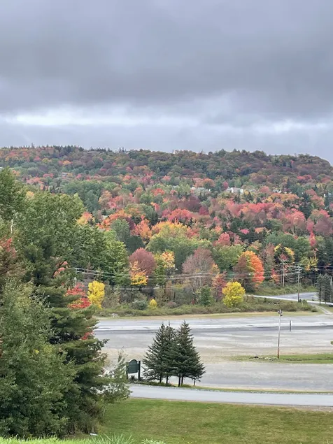 Stratton Mountain Ski Chalet: Hot Tub, Game Room, EV Charger, Kayak & Pond Views - Image 1