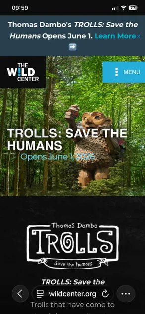 Trolls: Wild Center/paddle/loons/waterfront! - Image 1
