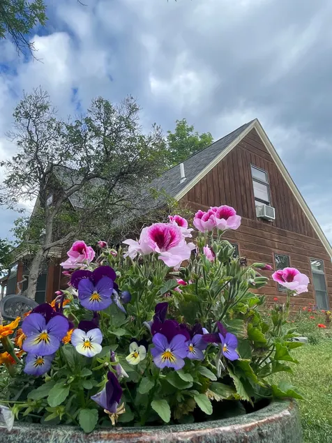 Comfy 4-Bedroom Victorian Home in Central Helena - Image 1