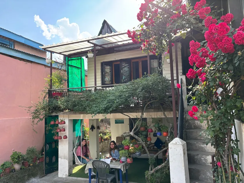 Plum tree -Naggar Heritage House. - Image 1