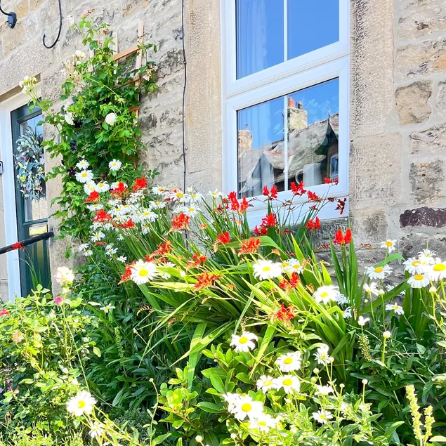 Atte Combe Cottage - Heart of Hadrian Wall Country - Image 1