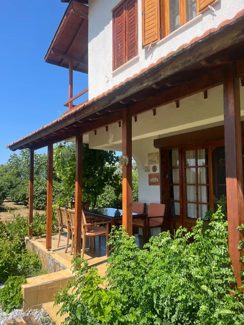 Villa Avocado in the mandarin garden in Özderesi - Image 1