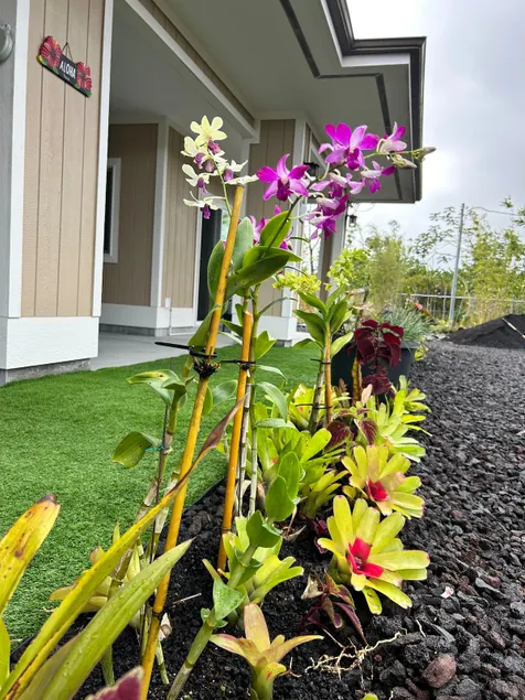 Paradise garden I with AC - Image 1