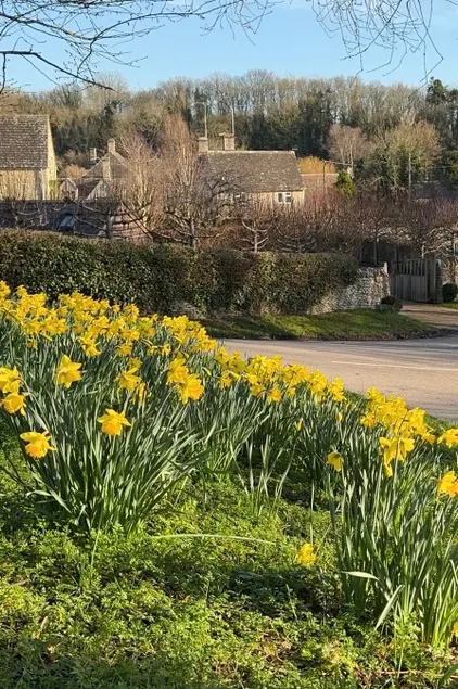 Pretty Cotswold Cottage with garden near Bibury - Image 1