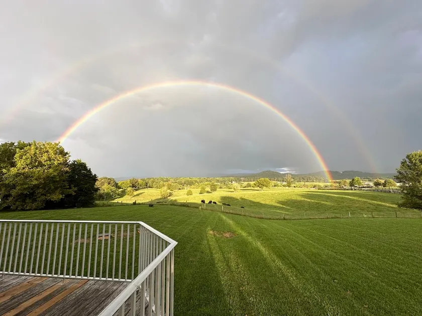 Want views? Come look at hills, horses, vineyard! - Image 1