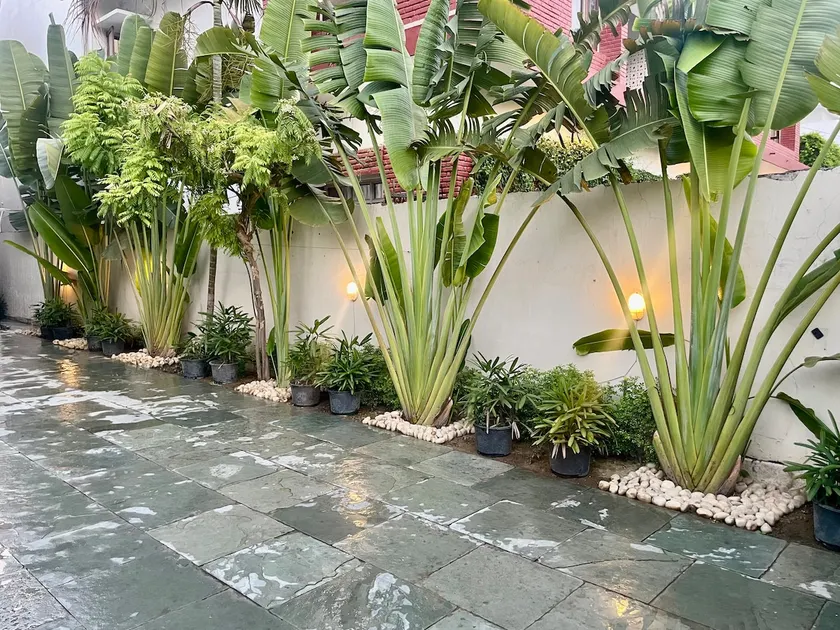 Palm Grove | 1BHK Studio I City Centre I Metro - Image 1
