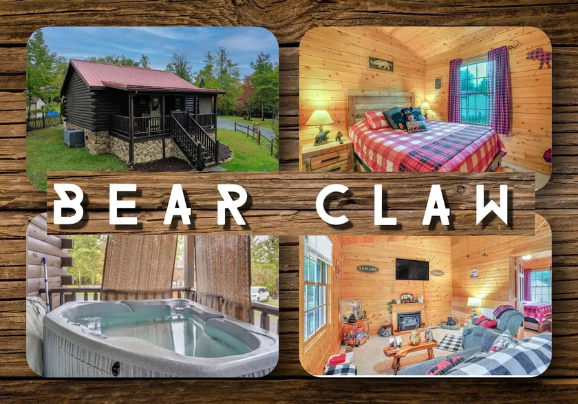 Bear Claw Cove #2 Pet Friendly-Hot tub-Kayak  - Image 1