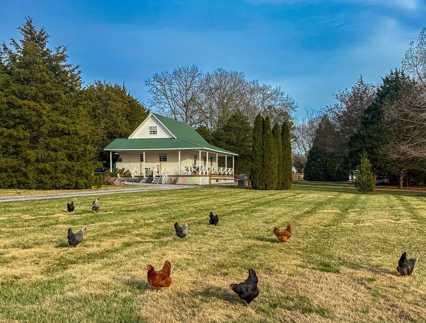 Good Hope Cottage- Amish Country / fire pit - Image 1