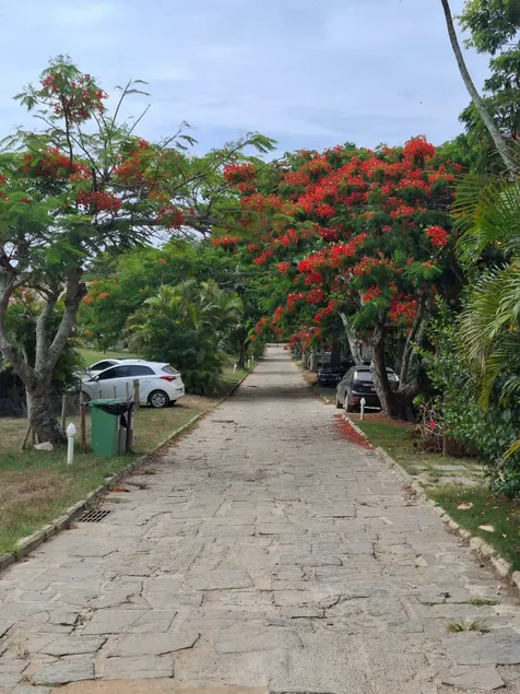 Buzios/ Seafront/100 m from Caravelas Beach. - Image 1
