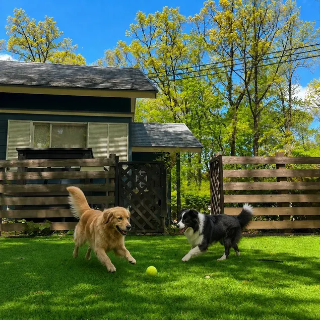 Relaxing stay in a summer getaway / Any number of dogs welcome / Includes a dog run / Life with a fireplace - Image 1