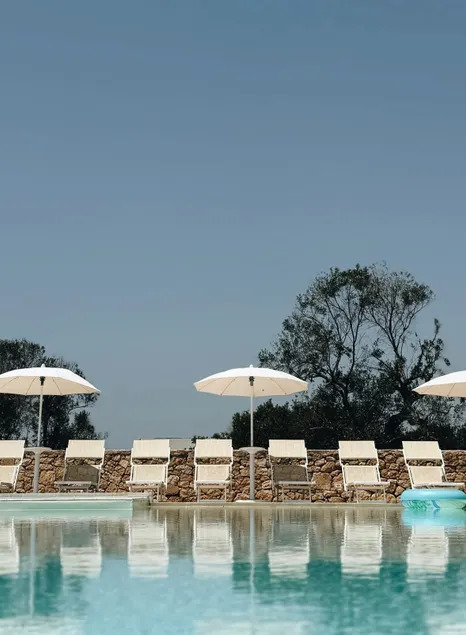 Dolce far niente surronded by olive trees - Image 1