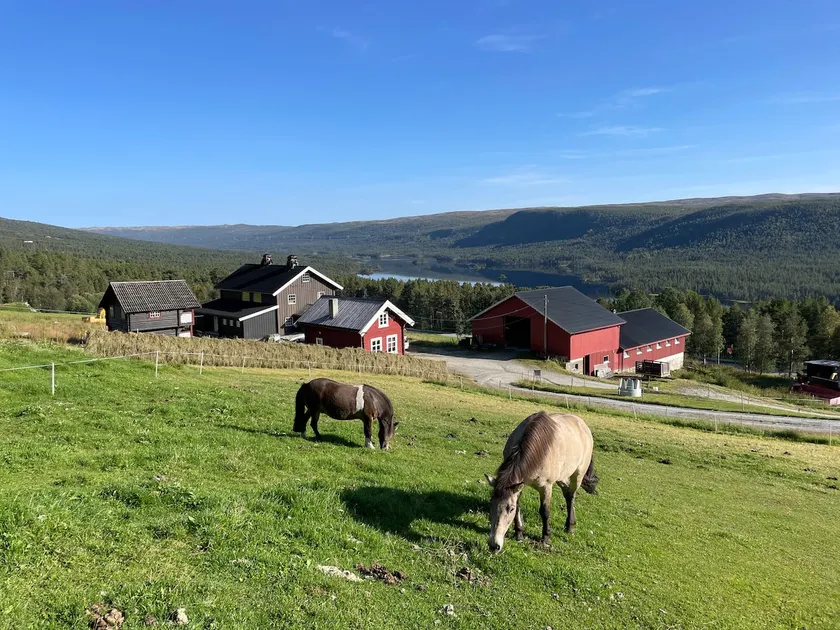 Cozy log cabin on the farm Hovde in Skurdalen - Image 1