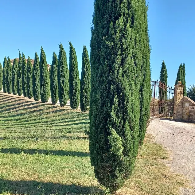 Cosy Tuscan Home near Florence & San Gimignano - Image 1