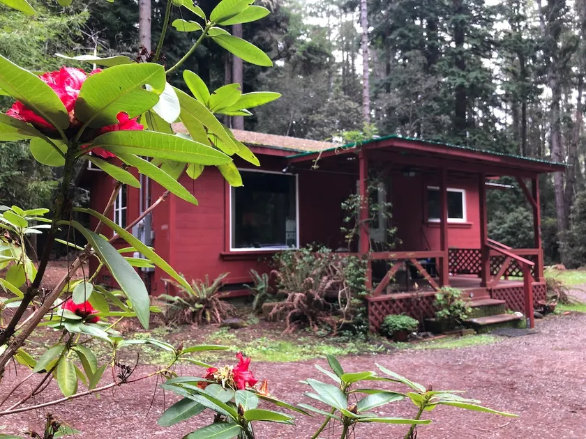 Kona Cabin in the Redwoods - Image 1