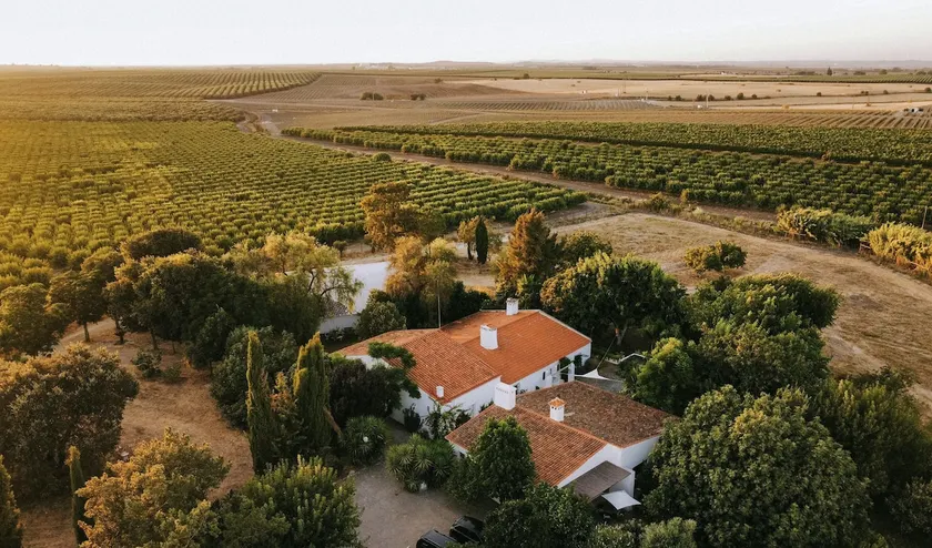 Lobeira - Centenary country house and gardens - Image 1