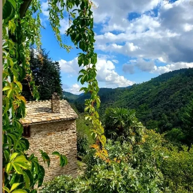 Air-conditioned cottage in the Cévennes with a view of the valley - Image 1