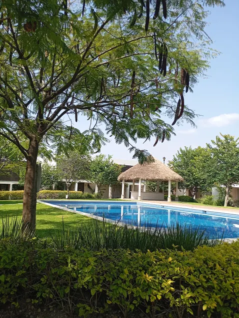 Huini dwelling near P. Industrial and Oaxtepec - Image 1