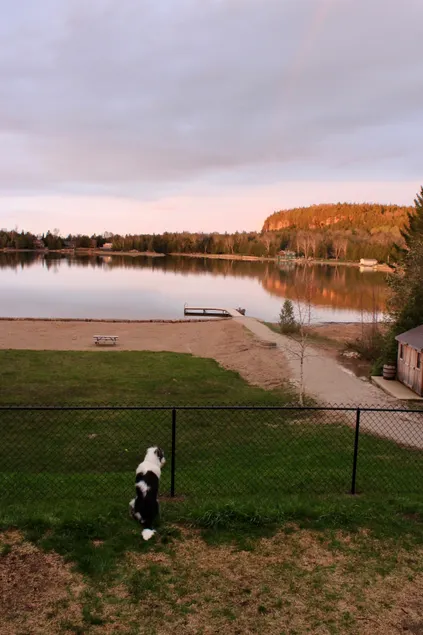 Little Lake Lookout: Sauna, Beach, Dock, Dogs! - Image 1