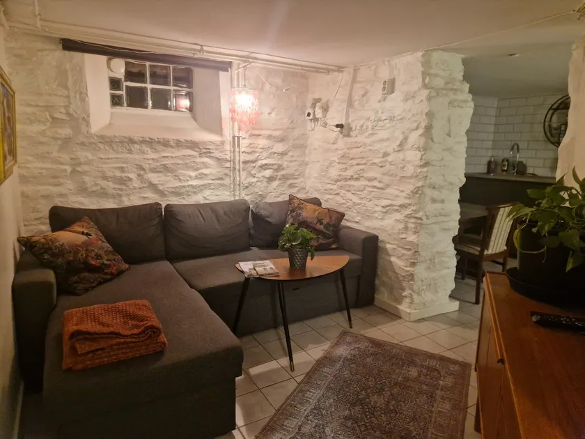 Newly renovated, cozy and central basement apartment - Image 1