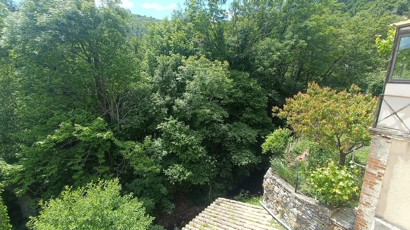 Rental in the Cévennes - Image 1