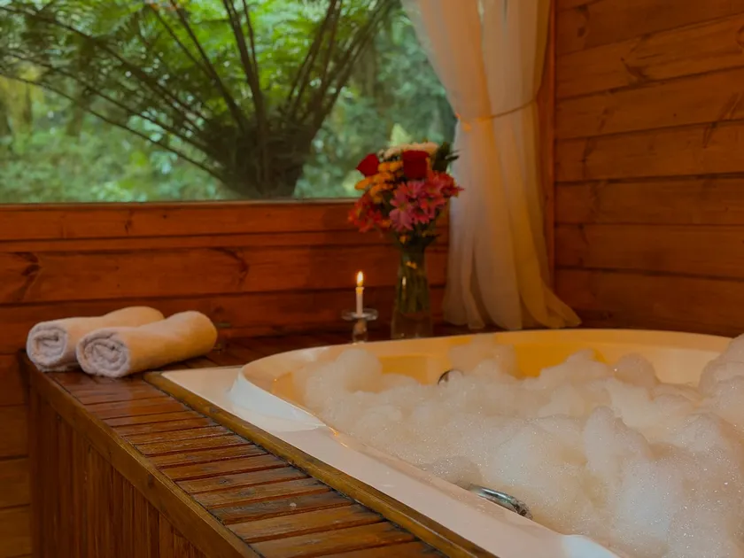 Cabin with bathtub & amazing view - Image 1