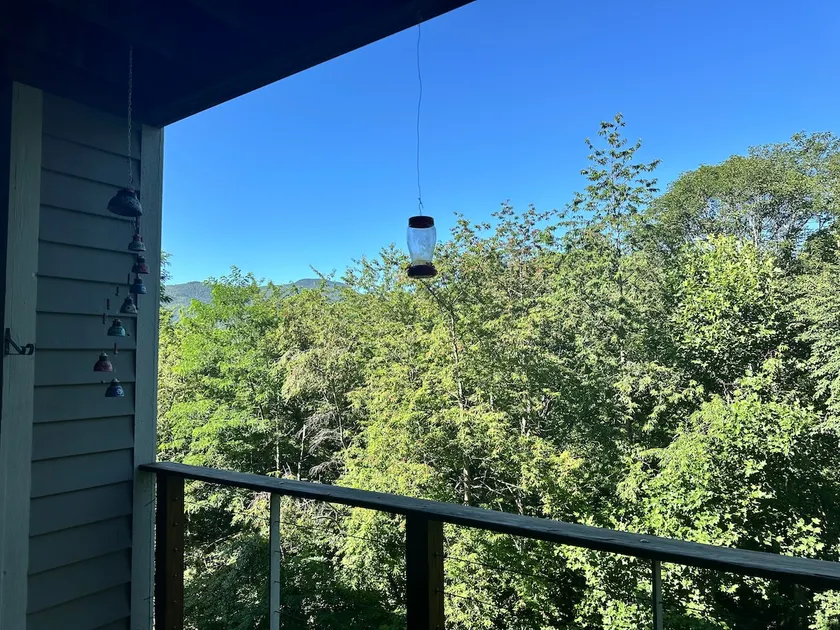 1 Bedroom Condo with a nice view - Image 1